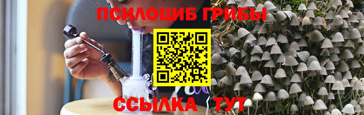 Ленинск-Кузнецкий  Галлюциногенные грибы Psilocybine cubensis  Вход с VPN 